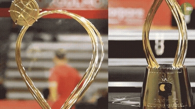 A Couple Of Trophies One Of Which Says Champions On It GIF