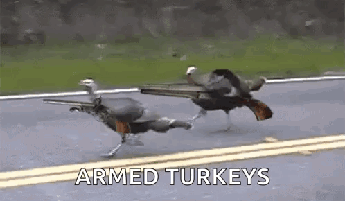 A Couple Of Turkeys Are Running Down A Road With Guns . GIF