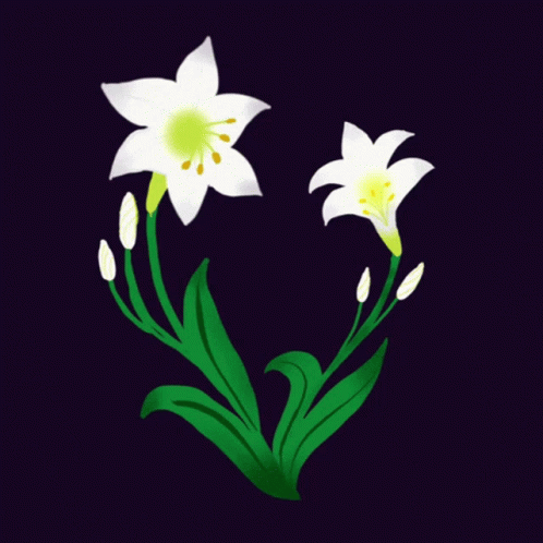 A Couple Of White Flowers With Green Leaves On A Dark Background GIF