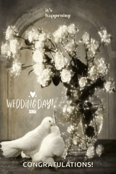 A Couple Of White Pigeons Standing Next To A Vase Of Flowers . GIF