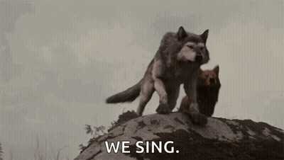 A Couple Of Wolves Are Standing On Top Of A Rock And Singing . GIF