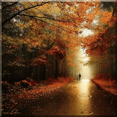 A Couple Walking Down A Road Surrounded By Trees GIF