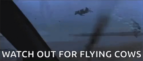 A Cow Is Flying Through The Air With The Words " Watch Out For Flying Cows " Above It GIF