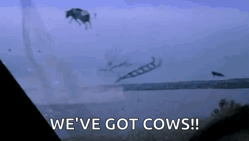 A Cow Is Flying Through The Air With The Words We 'Ve Got Cows Behind It . GIF