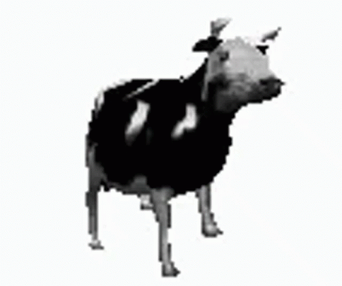 A Cow Is Standing On Its Hind Legs On A White Background . GIF