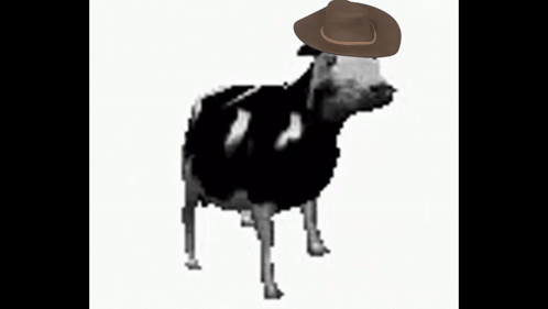 A Cow Wearing A Hat On Its Head GIF