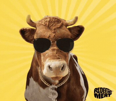A Cow Wearing Sunglasses And A Chain With A Dollar Sign Around Its Neck Says " Sure " GIF