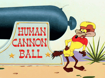a coyote is standing in front of a human cannon ball