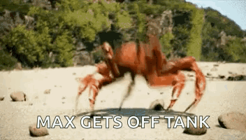 A Crab Is Crawling On A Rock In The Sand With The Words `` Max Gets Off Tank '' Written Below It . GIF