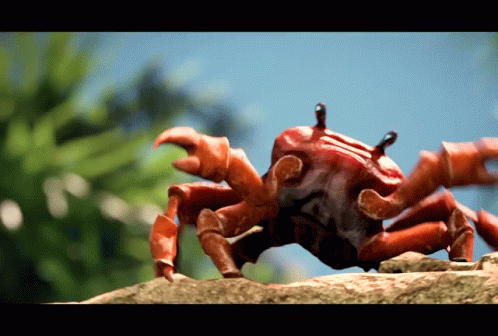 A Crab Is Crawling On A Rock With A Blue Sky Behind It GIF