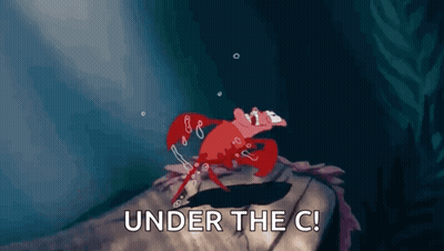 A Crab Is Crawling On A Rock With The Words Under The C Written On It . GIF