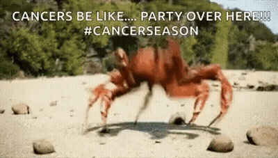 A Crab Is Crawling On A Rocky Beach With The Words Cancers Be Like Party Over Here . GIF