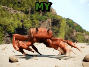 A Crab Is Crawling On A Sandy Beach With The Word My Above It GIF