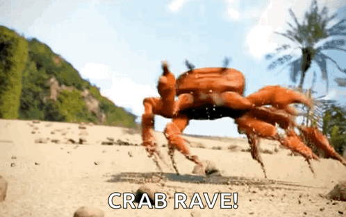 A Crab Is Crawling On A Sandy Beach With The Words Crab Rave Below It . GIF