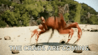 A Crab Is Crawling On The Beach With The Words The Crabs Are Coming GIF
