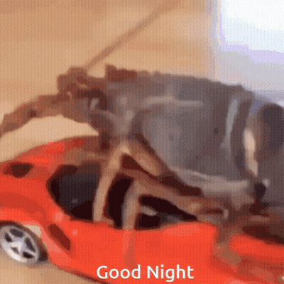 A Crab Is Sitting In A Red Toy Car That Says Good Night On The Bottom GIF