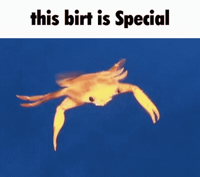 A Crab Is Swimming In The Ocean With The Words `` This Birt Is Special '' Written Below It . GIF