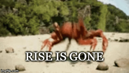 A Crab Is Walking On A Beach With The Words Rise Is Gone Above It . GIF