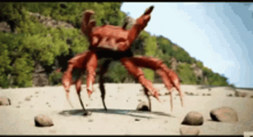 A Crab Is Walking On A Sandy Beach GIF