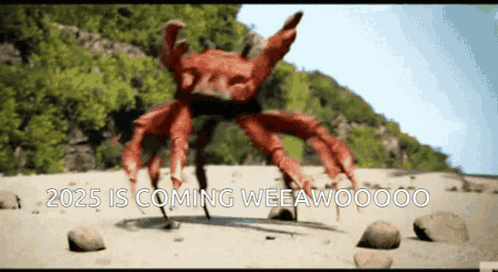 A Crab On A Beach With The Words 2025 Is Coming GIF