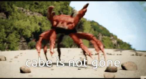 A Crab On A Beach With The Words Cabe Is Not Gone GIF
