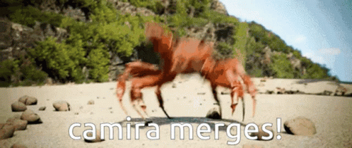 A Crab On A Beach With The Words Camira Merges Written Below It GIF