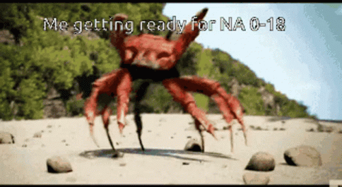 A Crab On A Beach With The Words " Me Getting Ready For Na 0-18 " GIF