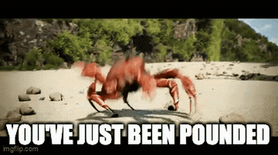 A Crab On A Beach With The Words " You 'Ve Just Been Pounded " GIF