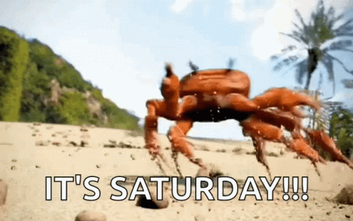 A Crab On A Sandy Beach With The Words " It 'S Saturday !!! " GIF