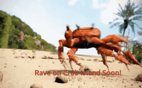 A Crab On A Sandy Beach With The Words Rave On Crab Island Soon Below It GIF
