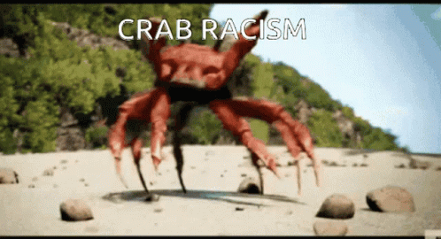 A Crab With The Words Crab Racism Written Above It GIF