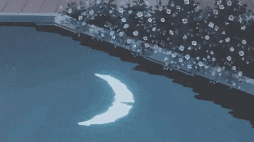 A Crescent Moon Is Floating On Top Of A Swimming Pool At Night . GIF