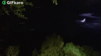 A Crescent Moon Is Visible In The Night Sky Over A Forest GIF