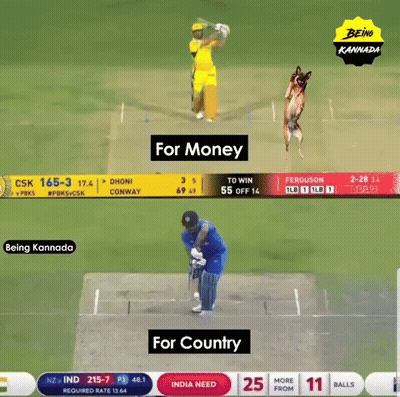 a cricket game is being played in being kannada and for money
