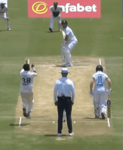 A Cricket Game Is Being Played In Front Of A Dafabet Ad GIF