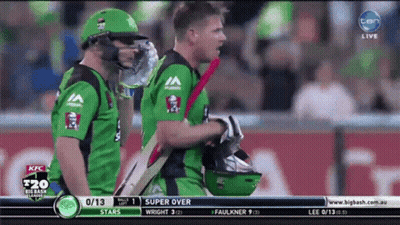 A Cricket Game Is Being Played On A Screen That Says Ten GIF