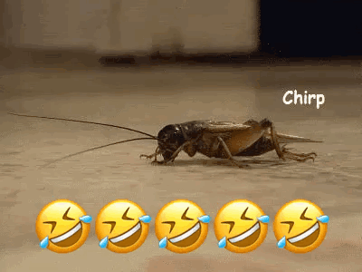 A Cricket Is Crawling On The Floor With Laughing Faces Behind It GIF