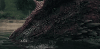 A Crocodile Is Swimming In A Body Of Water . GIF