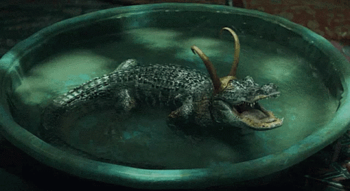 A Crocodile With Horns On Its Head Is Swimming In A Bowl Of Water GIF