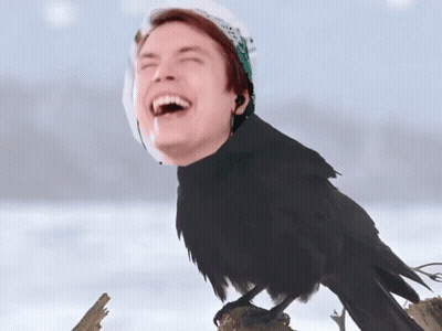A Crow With A Man 'S Face On Its Head GIF