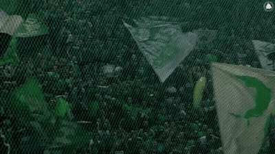 A Crowd Of People Behind A Fence With A Green Flag In The Foreground That Says Deusexboreae GIF