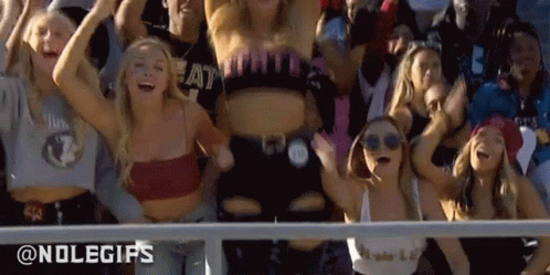 A Crowd Of People Cheering In A Stadium With The Words @Nolegifs On The Bottom Right GIF