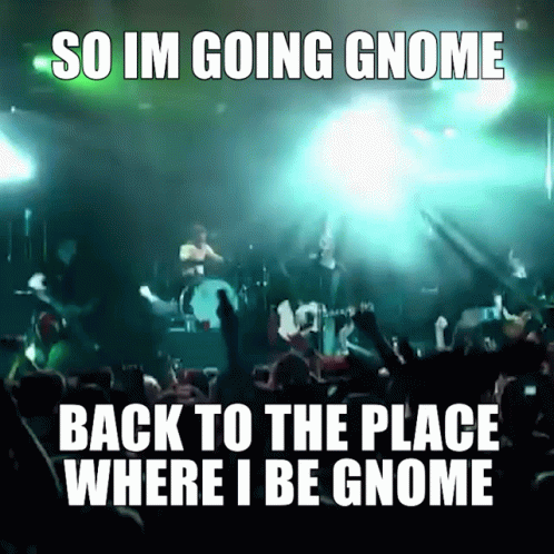 A Crowd Of People Watching A Band On Stage With The Words So Im Going Gnome Back To The Place Where I Be Gnome Below The GIF