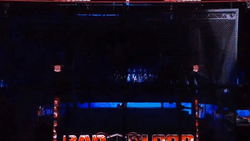 A Crowd Of People Watching A Wrestling Match In A Stadium GIF