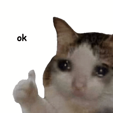 A Crying Cat Is Giving A Thumbs Up With The Word Ok Below It GIF