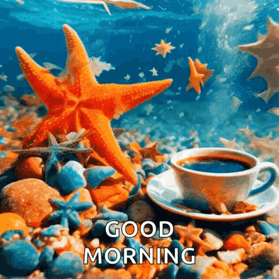 A Cup Of Coffee Is Sitting On A Saucer On A Rocky Beach Next To A Starfish . GIF