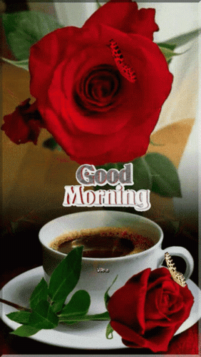 A Cup Of Coffee Next To A Red Rose With The Words Good Morning Written On It GIF