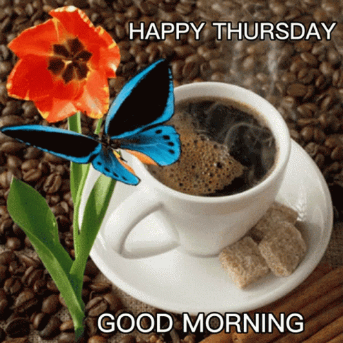 A Cup Of Coffee On A Saucer With A Flower And A Butterfly With The Words Happy Thursday Good Morning GIF