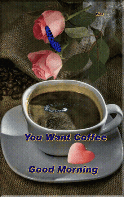 A Cup Of Coffee On A Saucer With The Words " You Want Coffee Good Morning " GIF