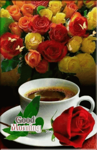 A Cup Of Coffee Sits On A Saucer Next To A Red Rose With The Words Good Morning Written On The Bottom GIF